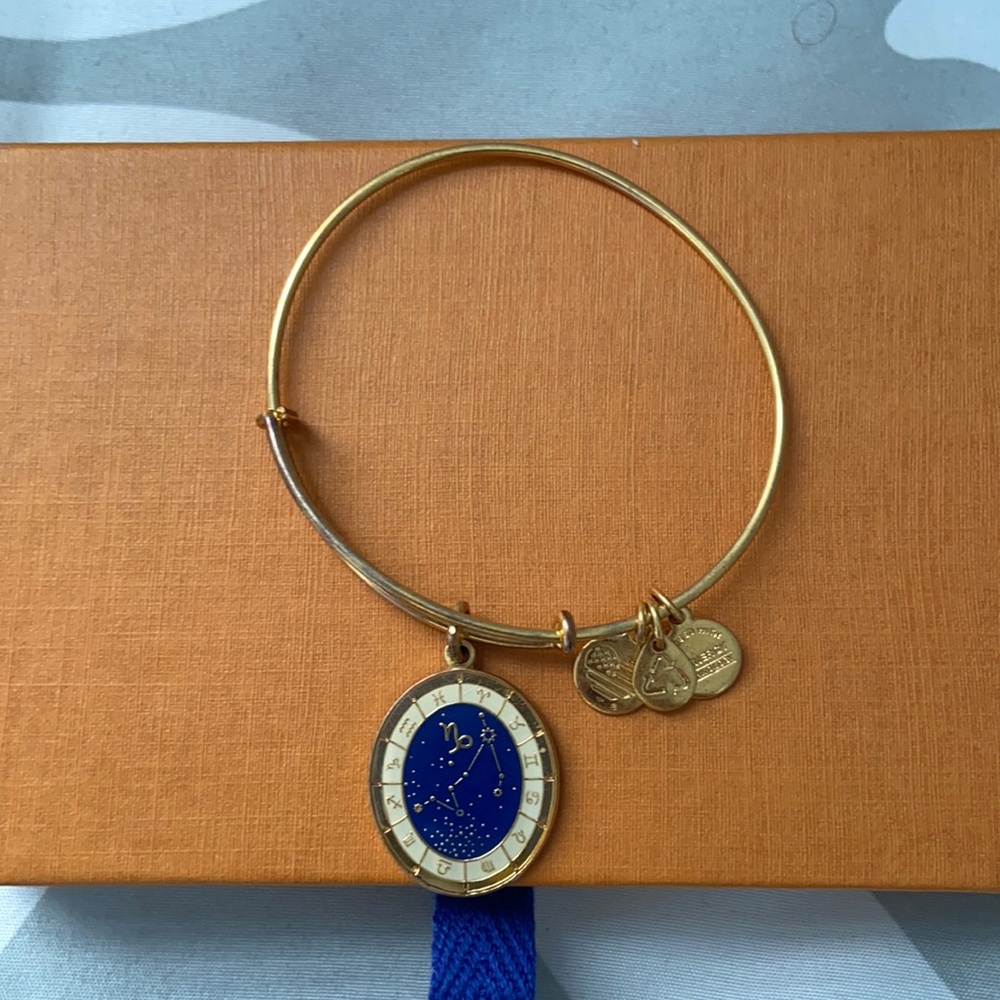 Alex & Ani Capricorn Zodiac bangle